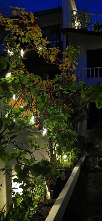 Altstadtvilla Ban'S Novi Vinodolski Exterior foto